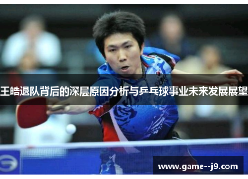 王皓退队背后的深层原因分析与乒乓球事业未来发展展望 王皓退队背后的深层原因分析与乒乓球事业未来发展展望