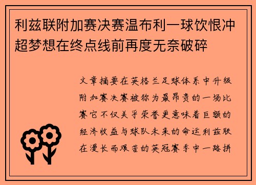 利兹联附加赛决赛温布利一球饮恨冲超梦想在终点线前再度无奈破碎 利兹联附加赛决赛温布利一球饮恨冲超梦想在终点线前再度无奈破碎